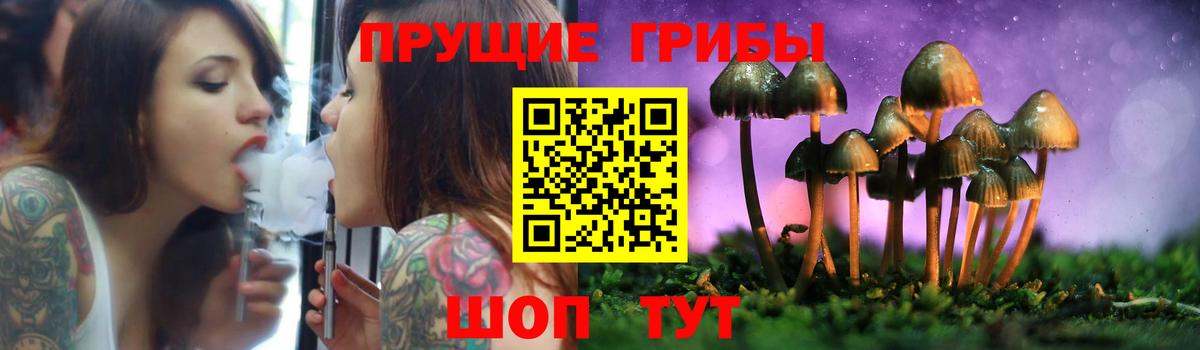 Ртищево  Галлюциногенные грибы прущие грибы  Вход с VPN  цены наркотик  Галлюциногенные грибы GOLDEN TEACHER 