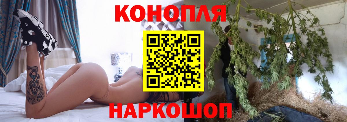 Ртищево  Бошки Шишки планчик  Бошки марихуана тримм  Вход с VPN 